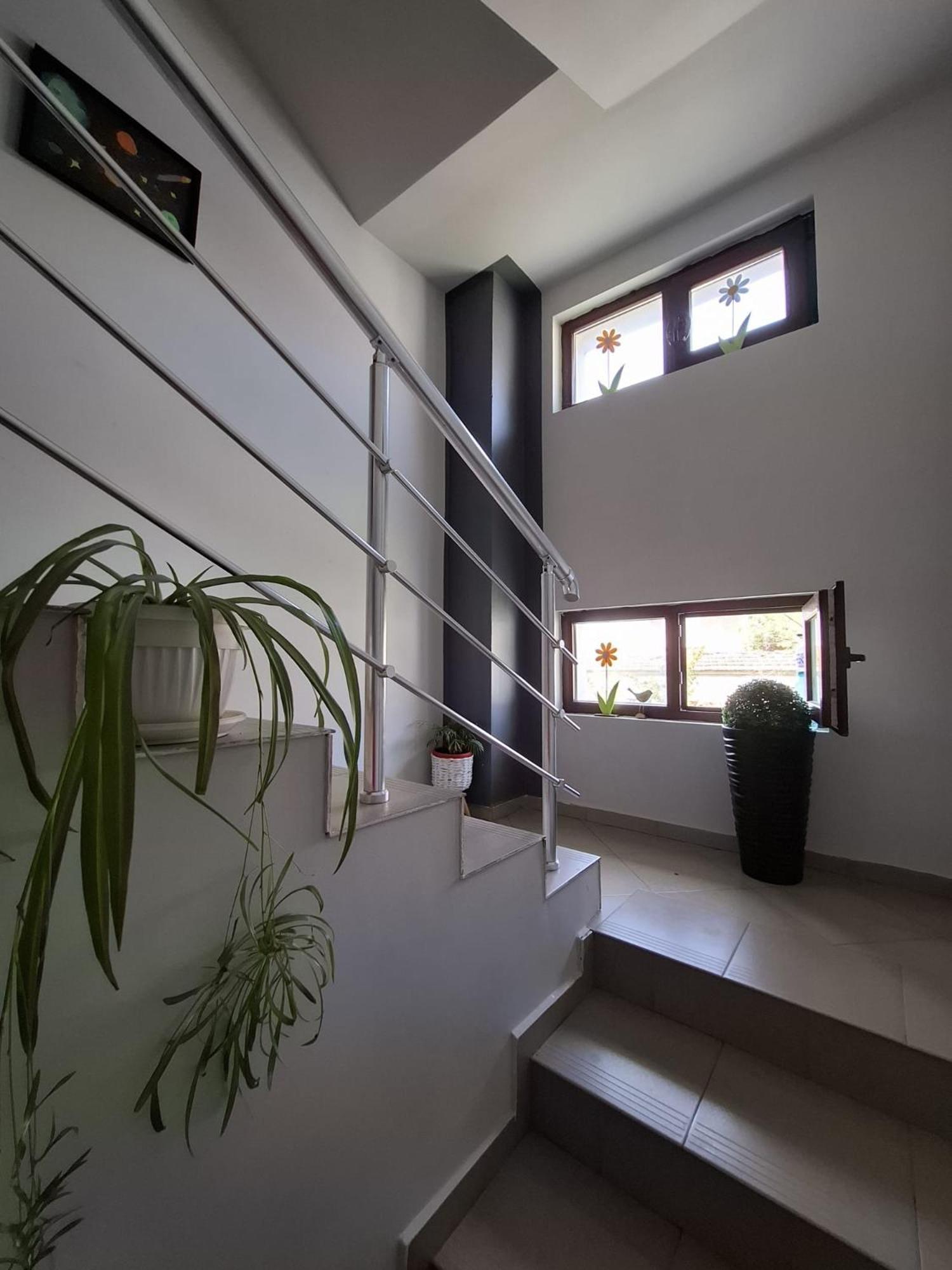 Opanets Guest Rooms Simona 2 מראה חיצוני תמונה